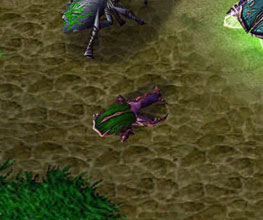 Screenshot du Carrion Beetle vu de haut